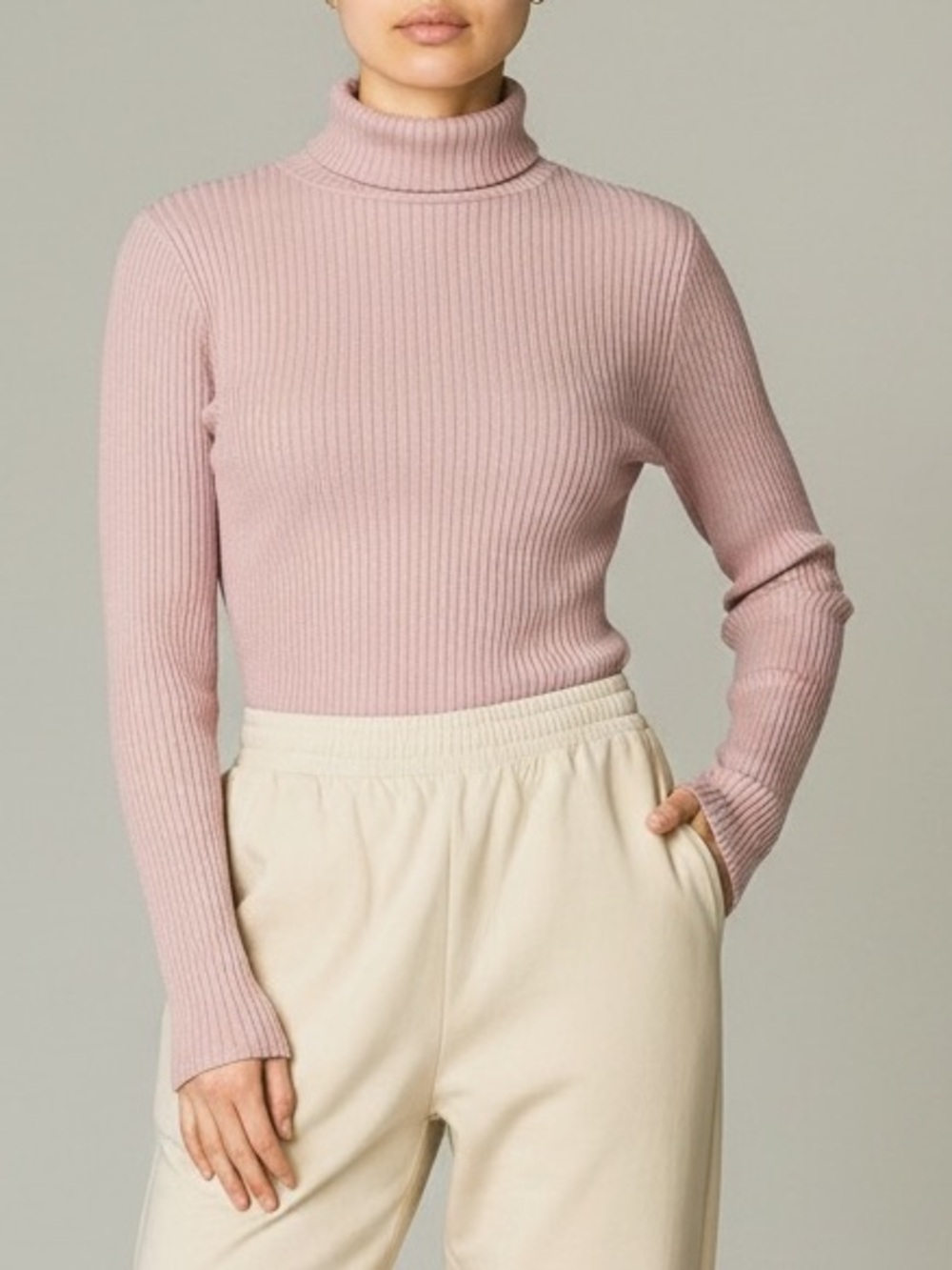 Aritzia The Group Babaton Turtleneck Long Sleeve Top Pink